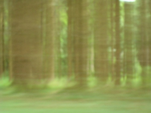 DSC00177-small DSC00177-small