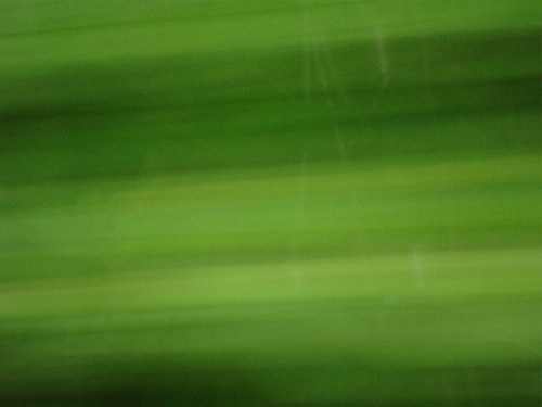 DSC00180-small DSC00180-small