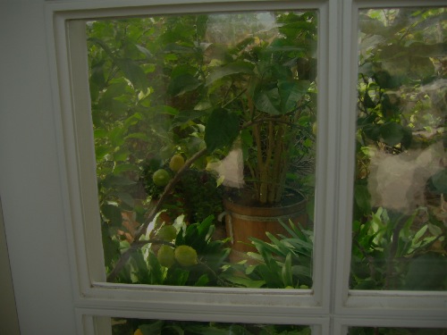 IMG_1387-small IMG_1387-small