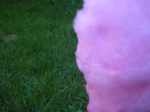 DSC01929-small DSC01929-small