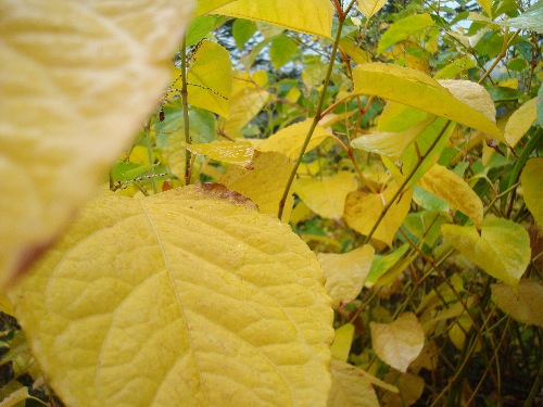 DSC02415-small DSC02415-small