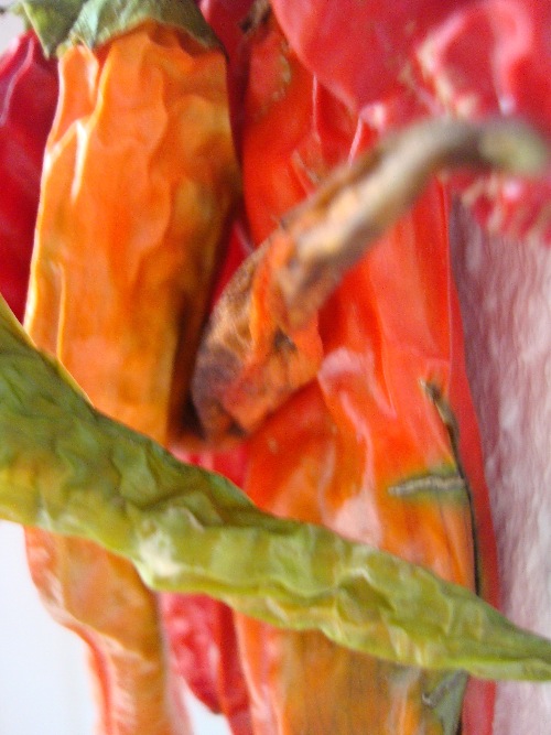 DSC02873-small DSC02873-small