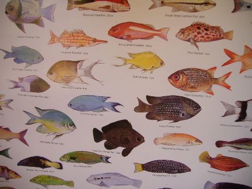 Kopie (2) von IMG_0888-small