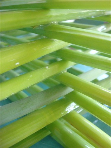 dsc07228-small-e1298486752129