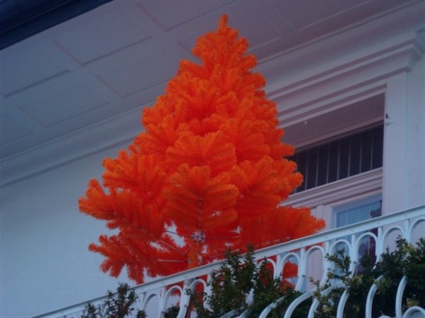 dsc03556-small-e1261781469788