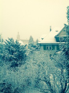 Winterbild; Tamar Venditti