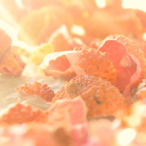 litchi; Gianluca Venditti