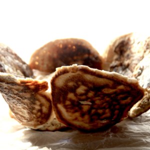 pane per tutti; Gianluca Venditti