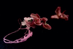 l' infanzia è finita; prettyvenditti.jetzt