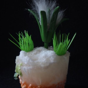 la pianta di guatemala; prettyvenditti.jetzt