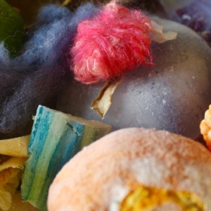 rifiuti; prettyvenditti.jetzt