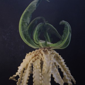 la dignità; prettyvenditti.jetzt