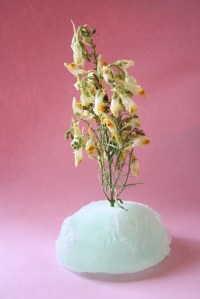 prettyvenditti.jetzt