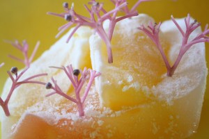 prettyvenditti.jetzt