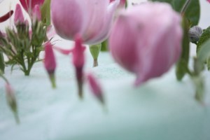 prettyvenditti.jetzt