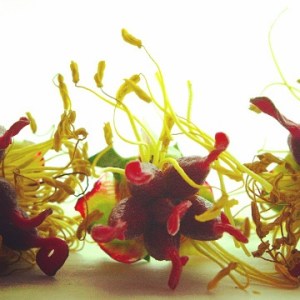 prettyvenditti.jetzt