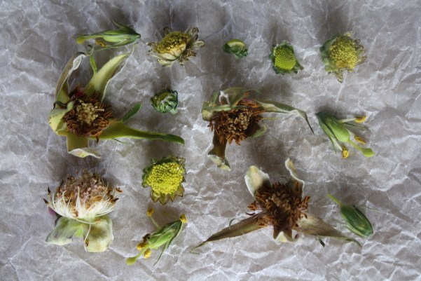 prettyvenditti.jetzt