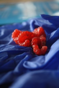 prettyvenditti.jetzt