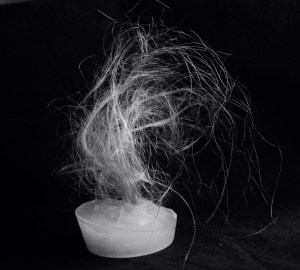 la dignità; prettyvenditti.jetzt