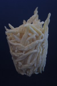 pasta e formaggio; prettyvenditti.jetzt