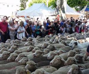 11292780_1620594441521133_2090196711_n