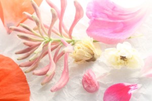 doucement; prettyvenditti.jetzt