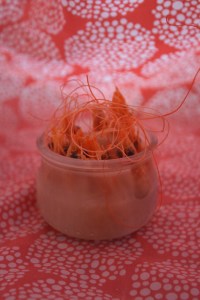 orange; prettyvenditti.jetzt