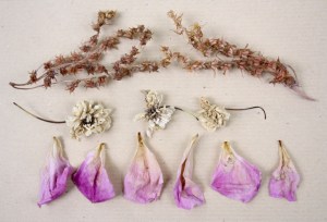 tutti caduti; prettyvenditti.jetzt