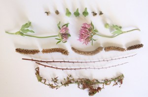 17 pieces; prettyvenditti.jetzt