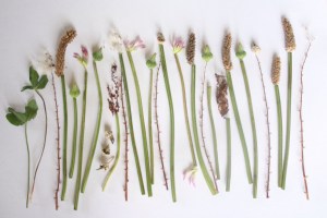 more than 17 pieces; prettyvenditti.jetzt