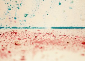 il paese delle meraviglie; prettyvenditti.jetzt