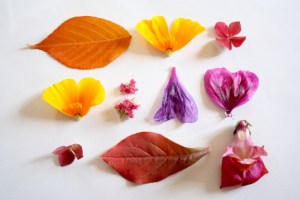 un; prettyvenditti.jetzt