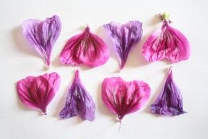 deux; prettyvenditti.jetzt