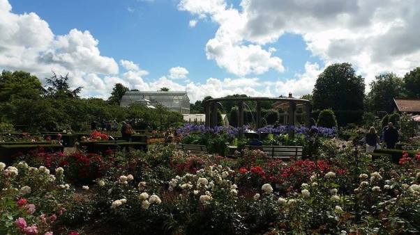 trädgårdsföreningen