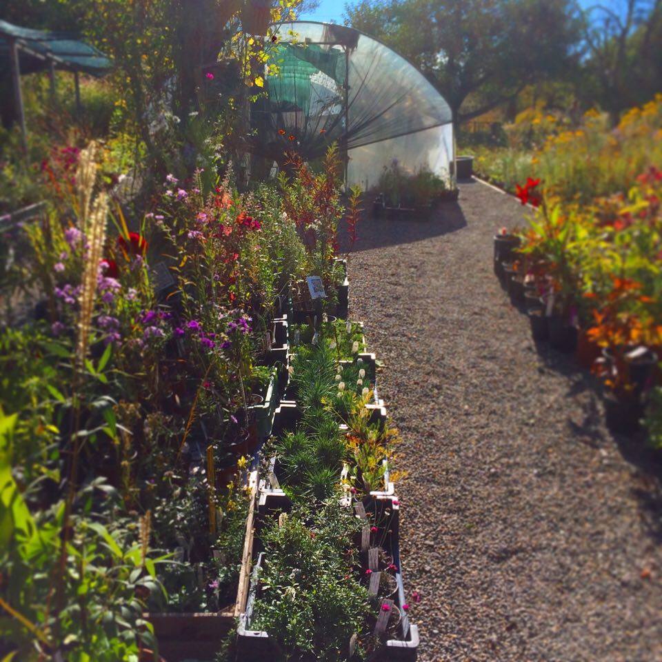 14585260_1132299830139464_853751883_n