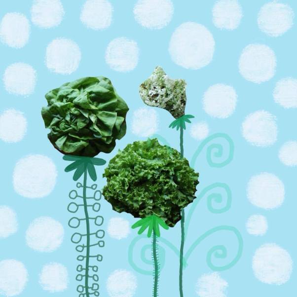 15300668_1193362470699866_112457248_n