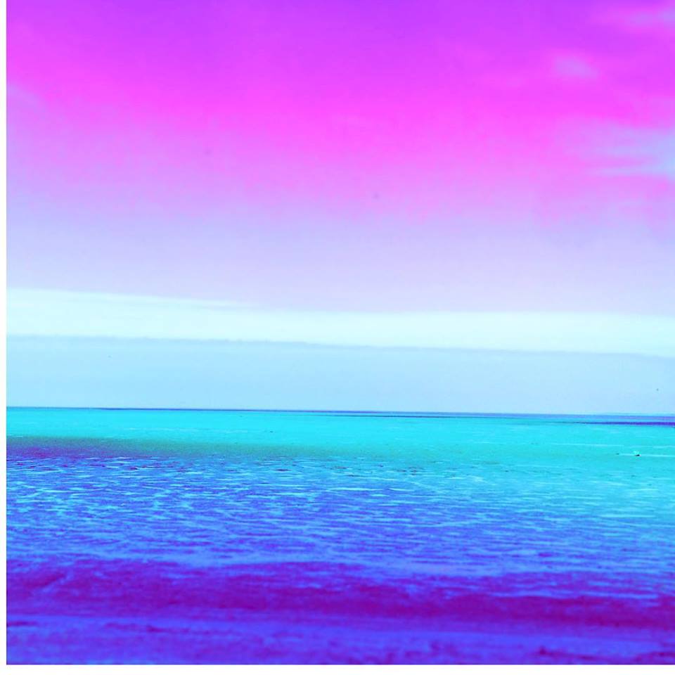 18033922_1367803339922444_2385343344442652900_n