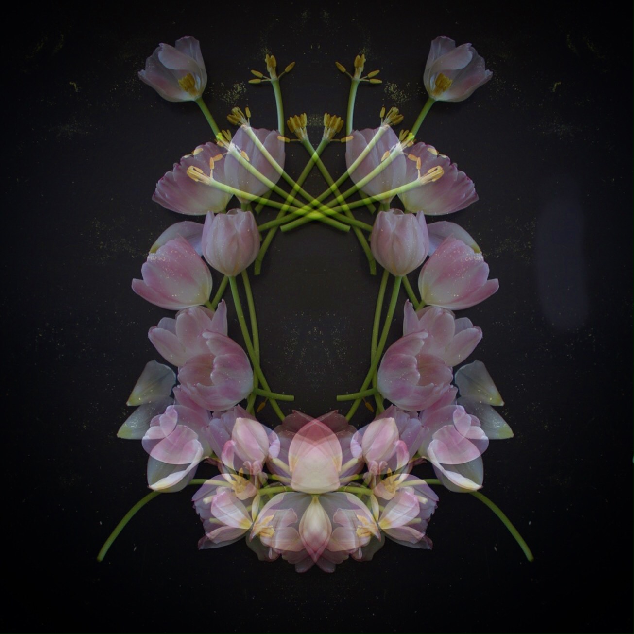 4C07DD7A-2403-45DD-9DF1-EADFB9B3AFC6