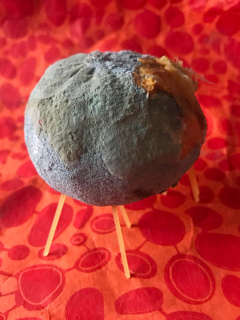 44e20514-db8c-47d0-9e03-78aa9d8c990b