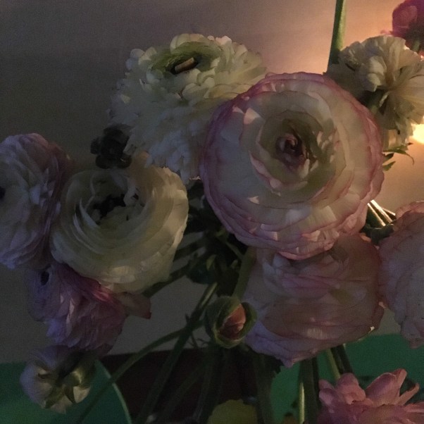 DECEF82D-A163-421D-AB2D-5EA97D9E3638