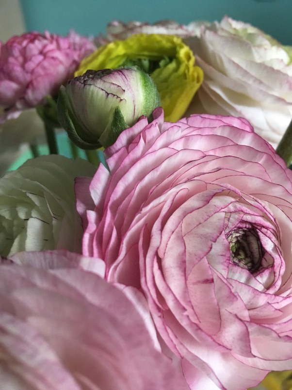 E9CF8CDB-161B-4936-AB3C-092C009A7034