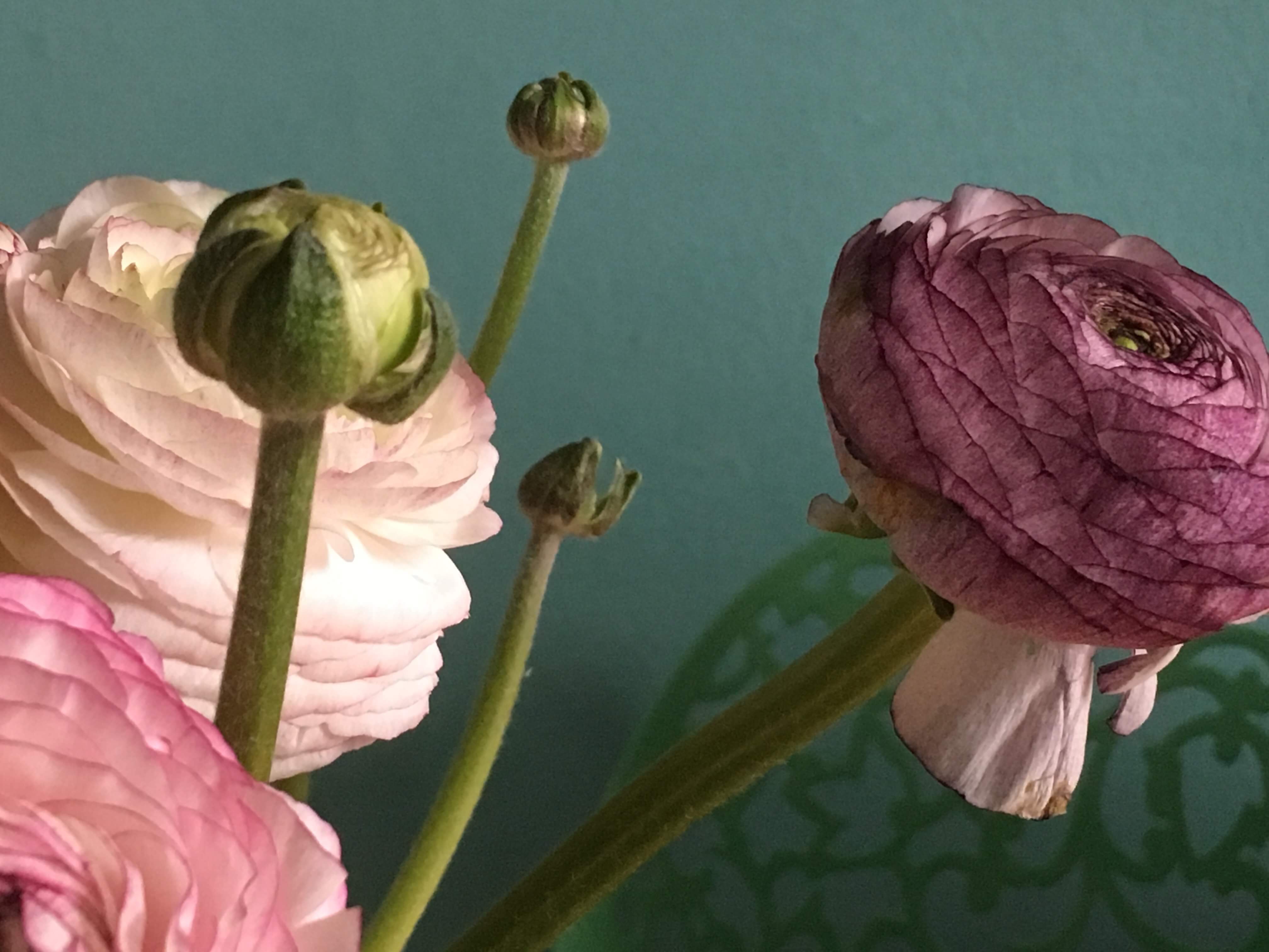 6A53A42A-D312-417F-9AD1-875DCBE9D50E