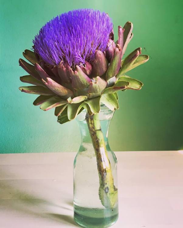 artischocke.jpg