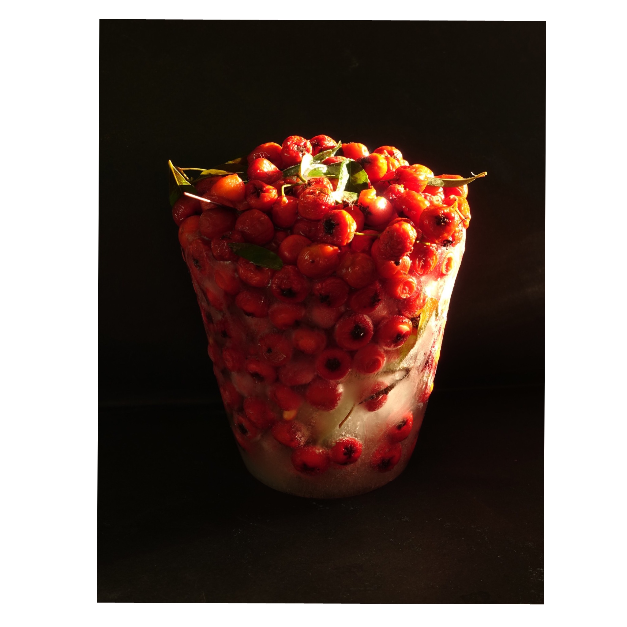 CE89C27D-F18B-4F3B-A951-362D3C96DFE6